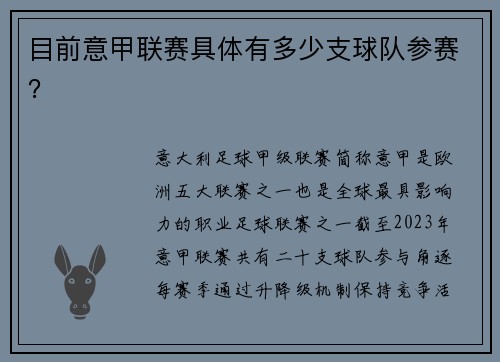 目前意甲联赛具体有多少支球队参赛？