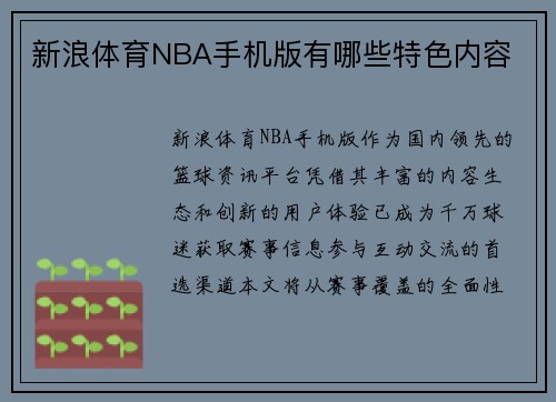 新浪体育NBA手机版有哪些特色内容